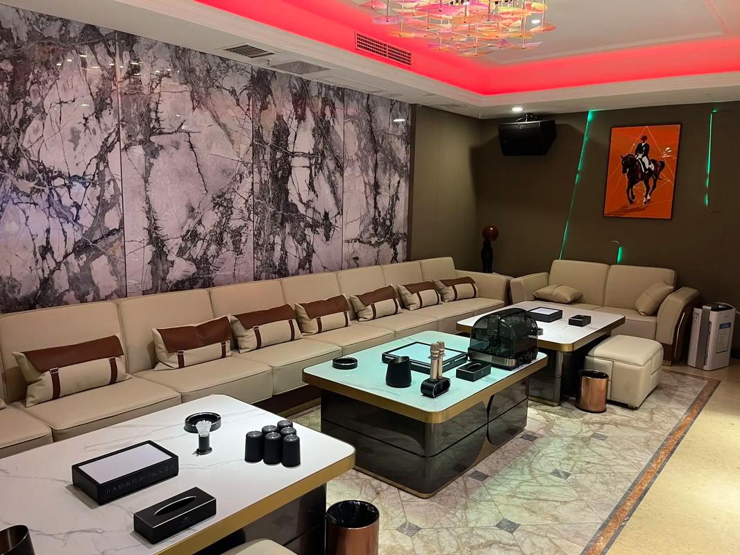 哈尔滨商务ktv及商务ktv啥意思解析-道外区ktv预订